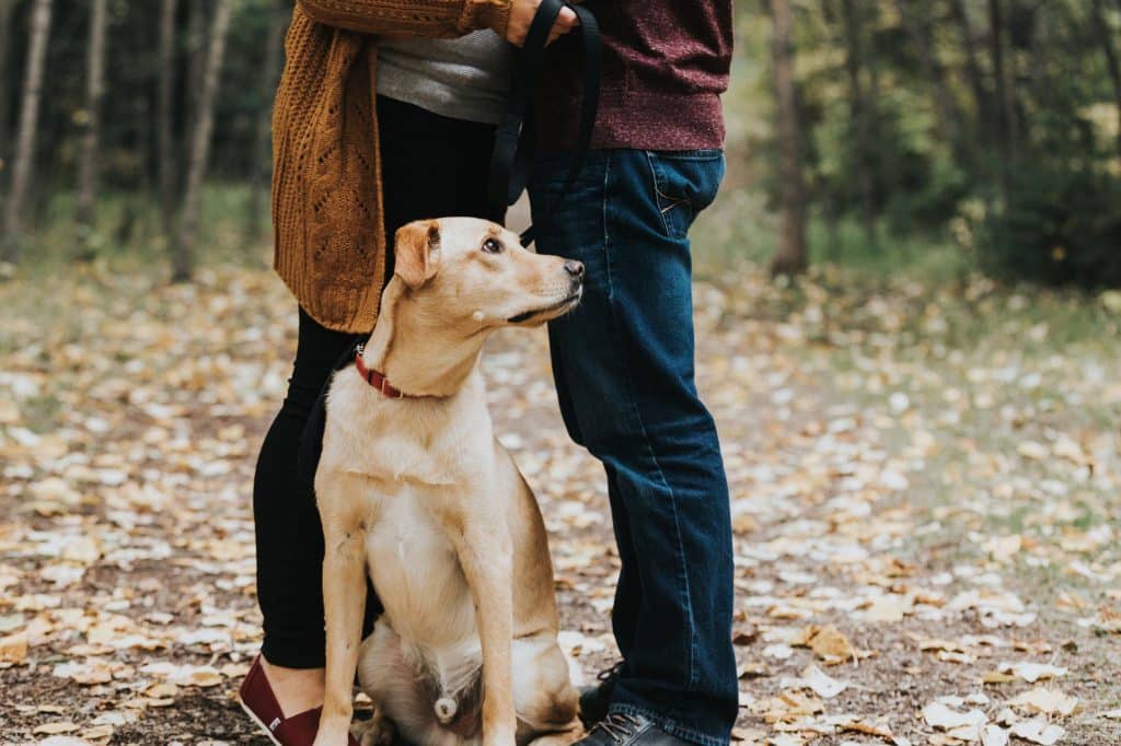 Team Photo for CTV Morning Live Edmonton